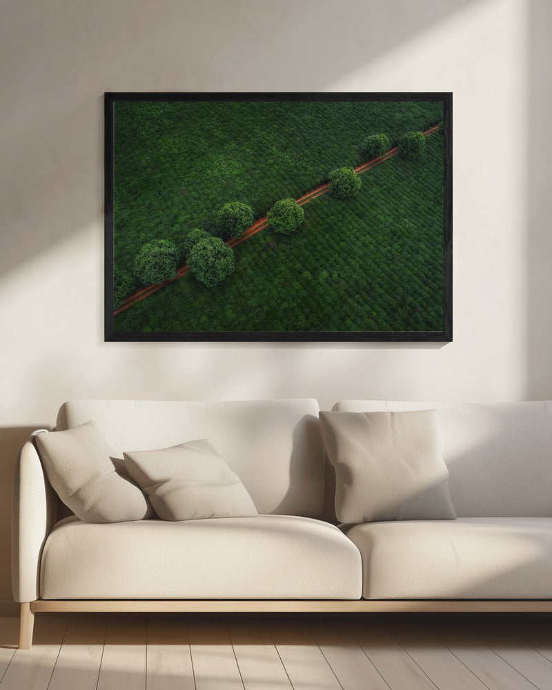 Groene Parels | Canvas