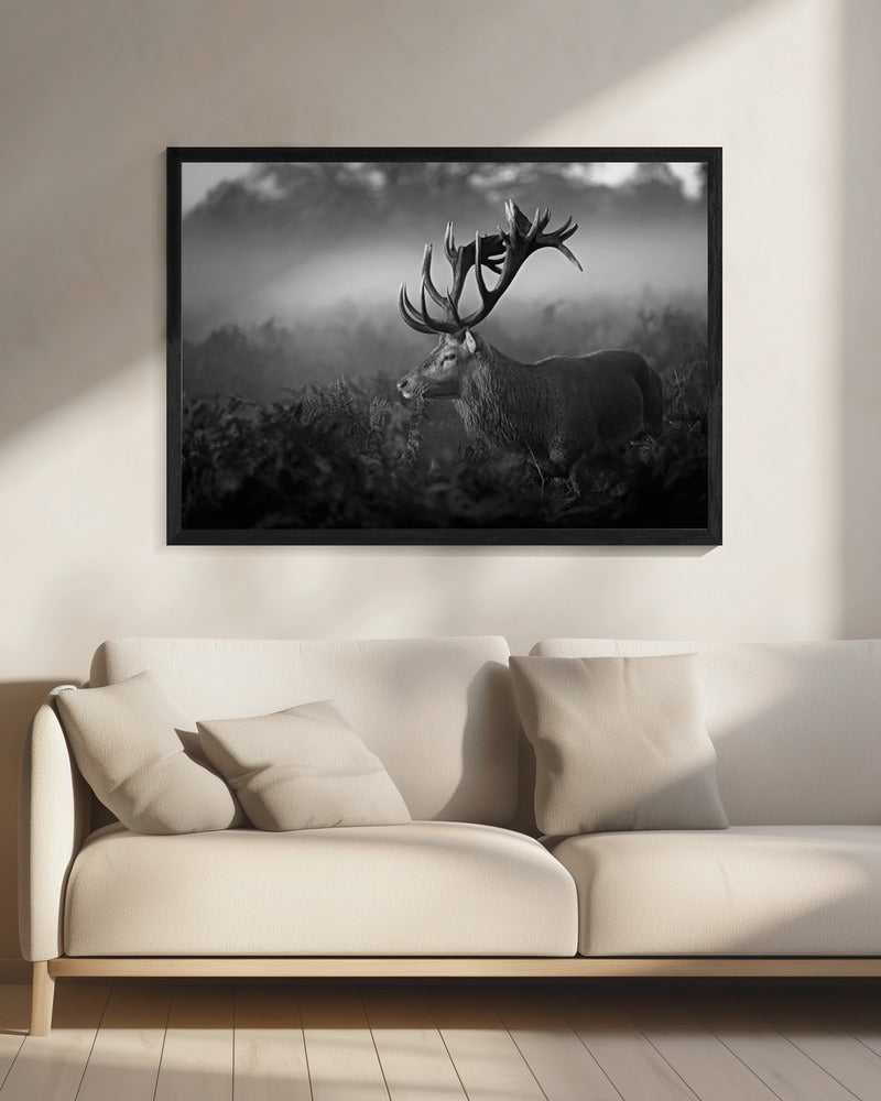 Zonnige ochtend | Canvas
