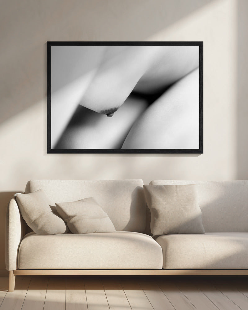 Het lichaam | Canvas