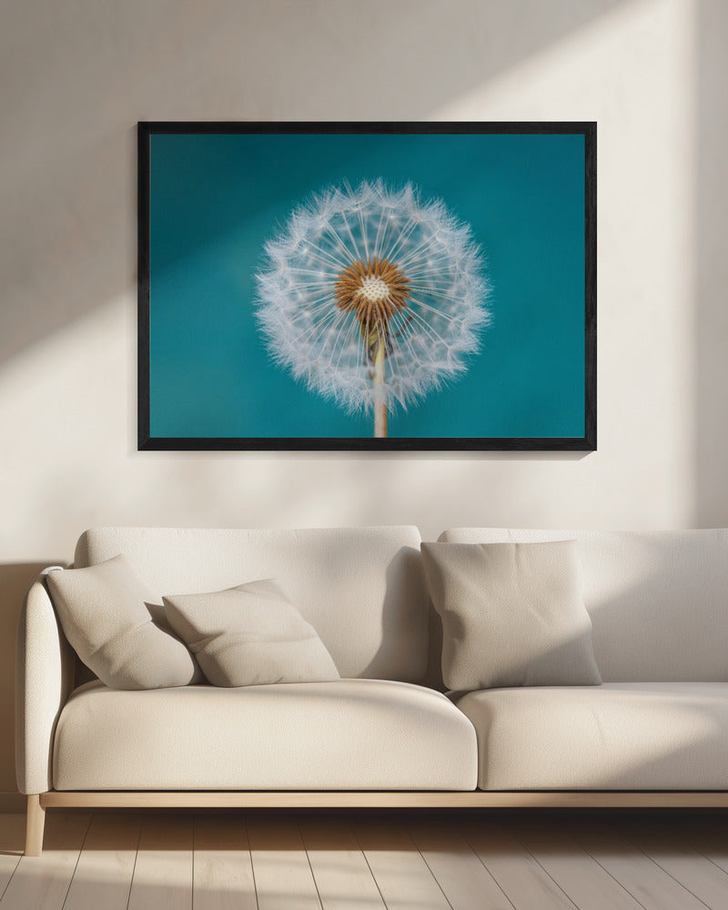 Paardenbloem | Canvas