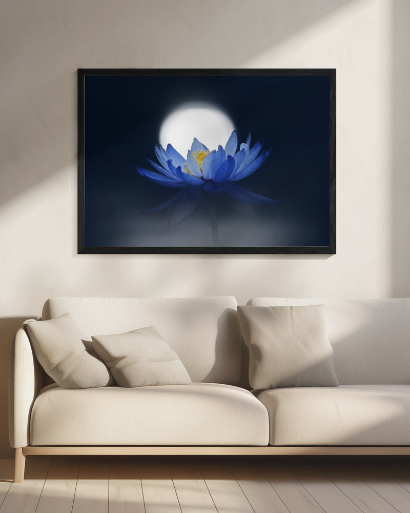 Vluchtige droom | Canvas