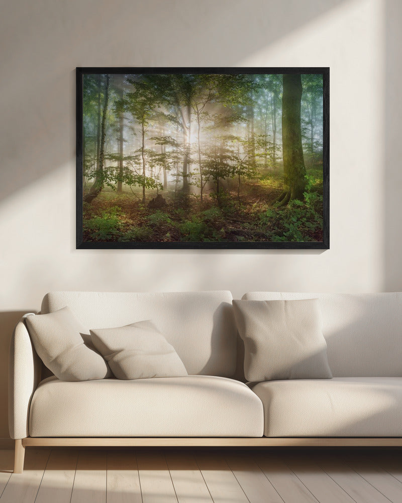ochtendzon | Canvas