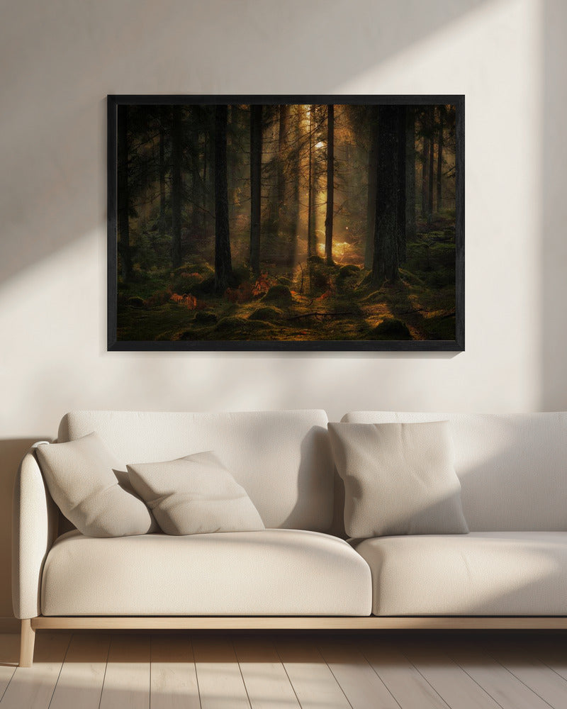 Het licht in het bos | Canvas