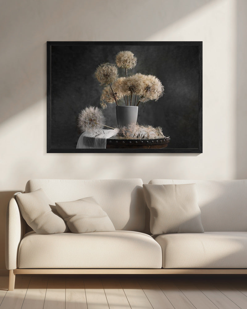 Paardenbloemzaadpeul | Canvas