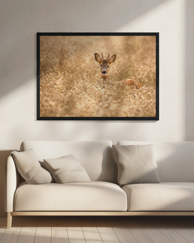 Deer in the field | Canvas