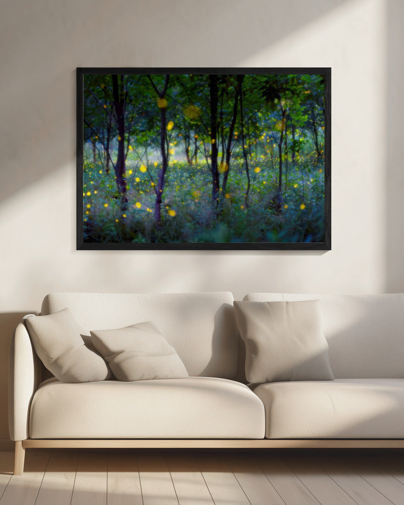 Magische vuurvliegjes | Canvas