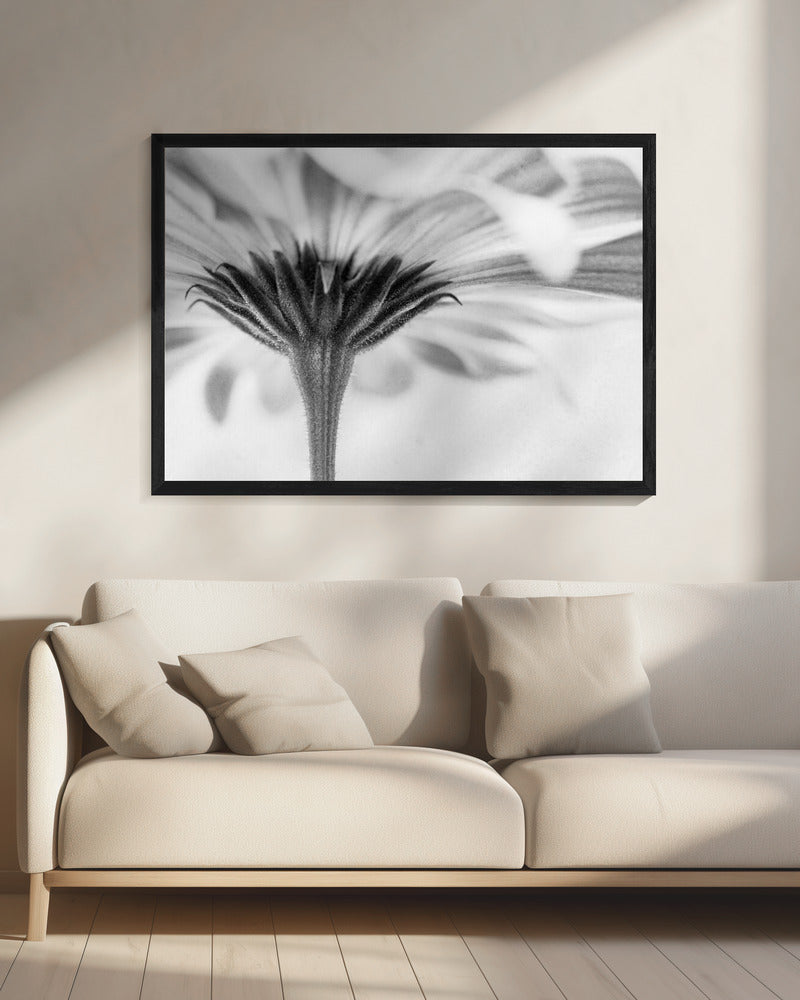 Aangeraakt | Canvas