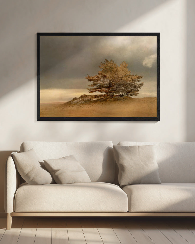 Dennen en duinen | Canvas