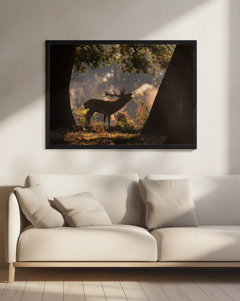 He Waits in the Shadows | Canvas
