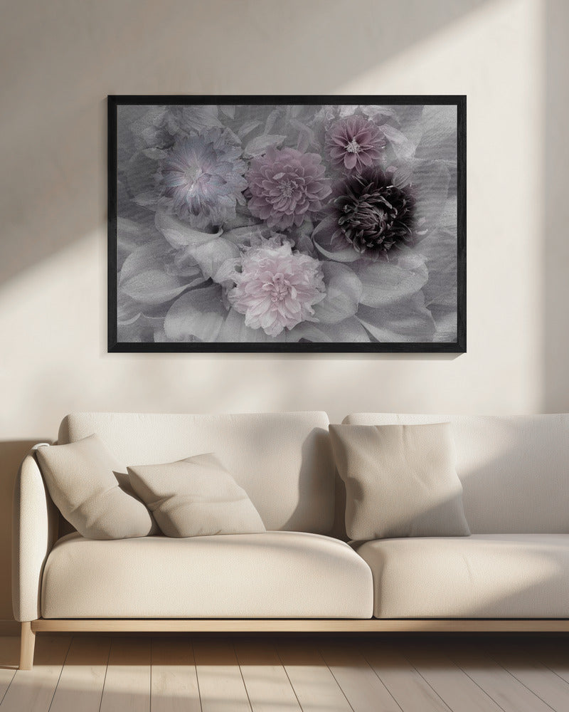 Dahlia droom | Canvas