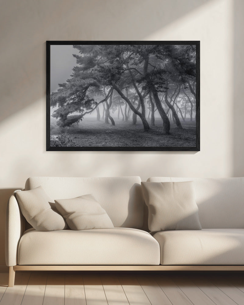 Altijd | Canvas
