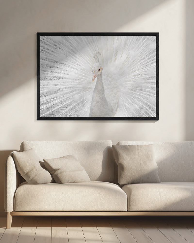 Prachtige Witte | Canvas