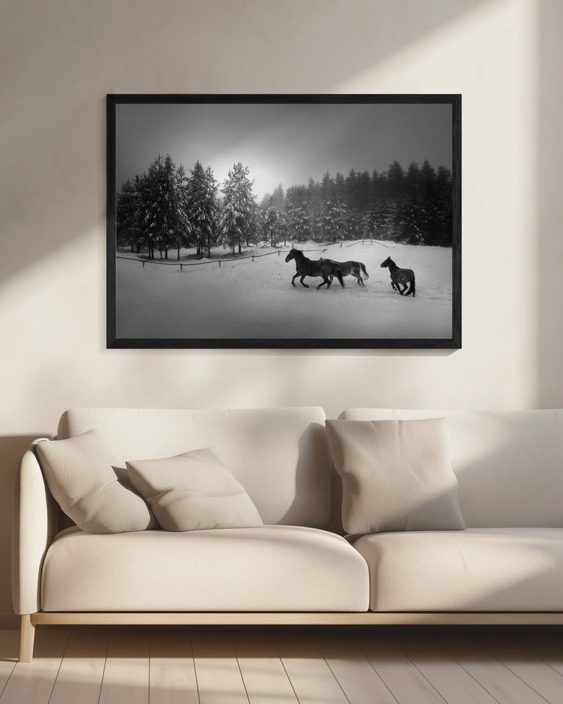 Untitled | Canvas