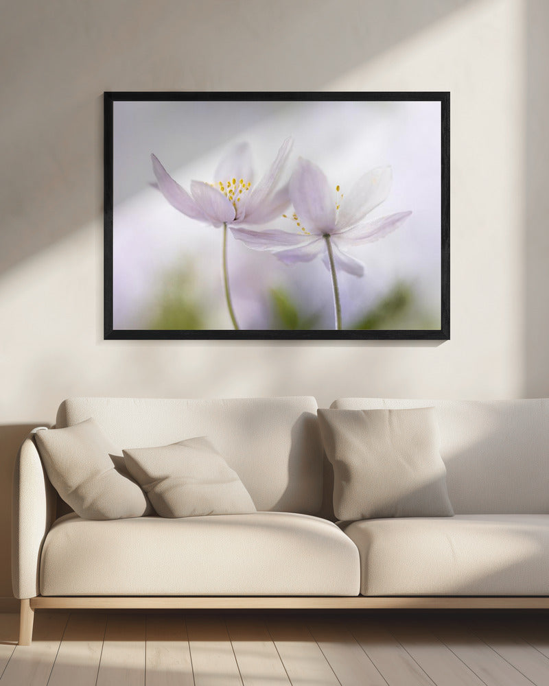 ~Nemorosa~ | Canvas