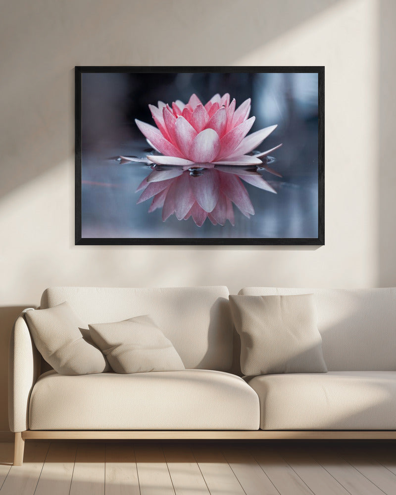 Padmasana | Canvas