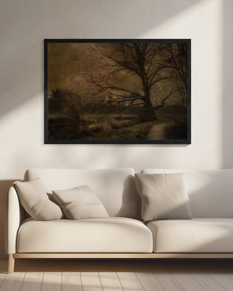 Oude boom | Canvas