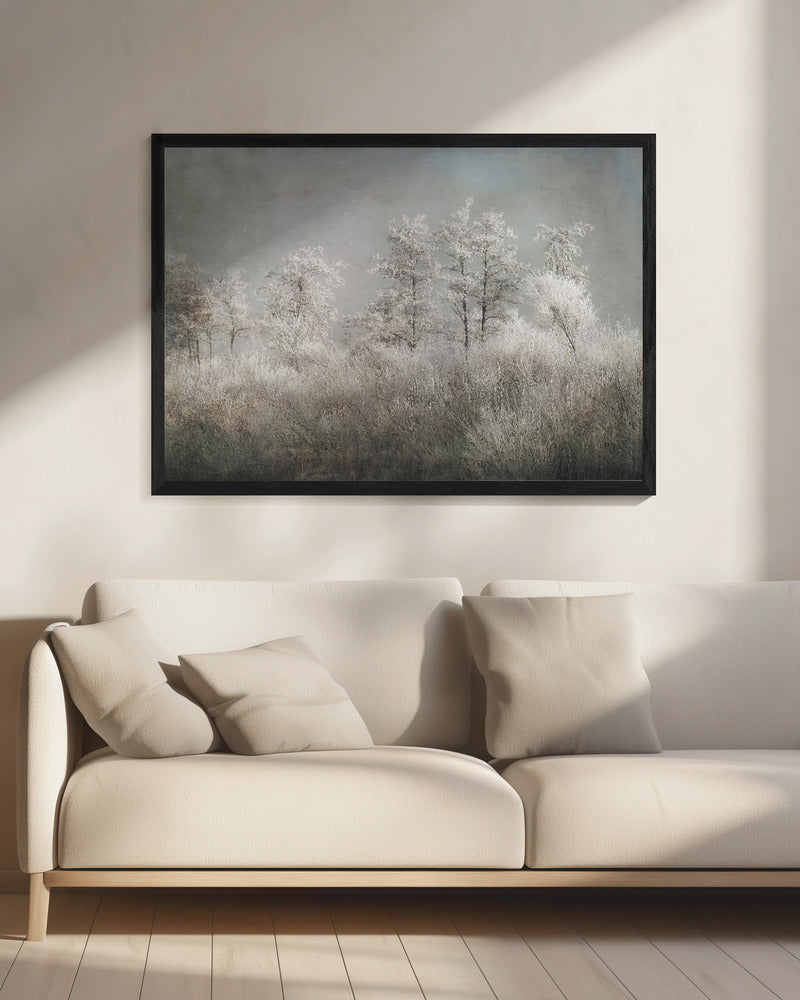 Koude ochtend | Canvas