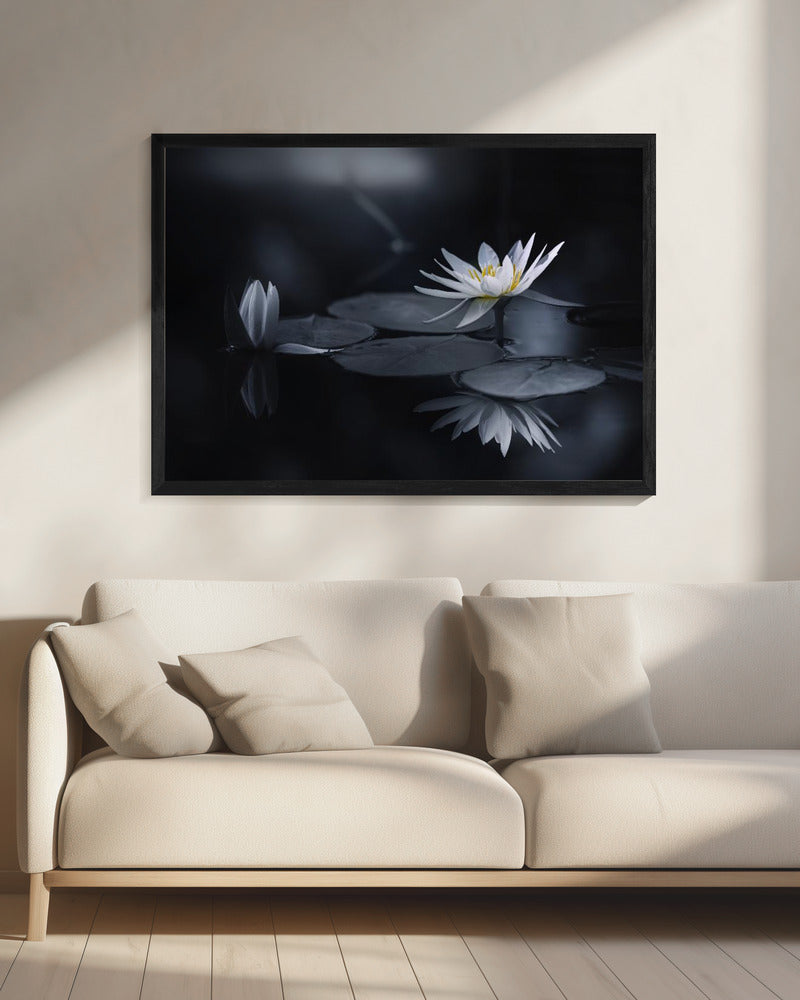 Reflection | Canvas