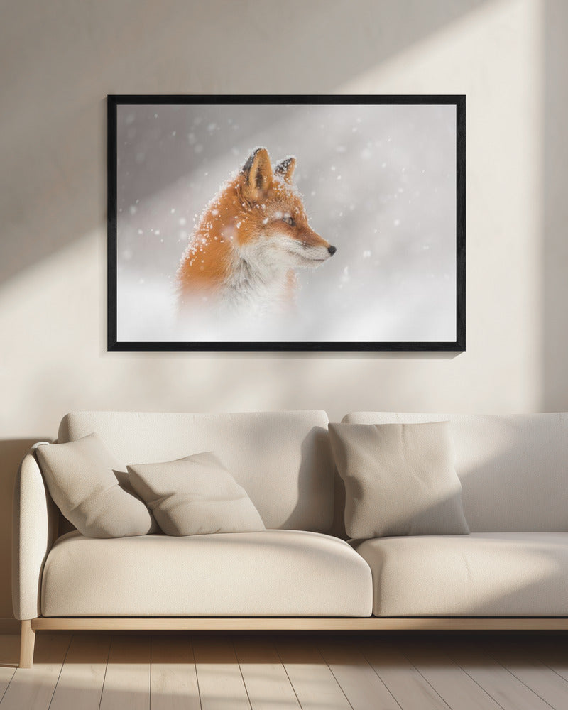 Snow is falling… | Canvas