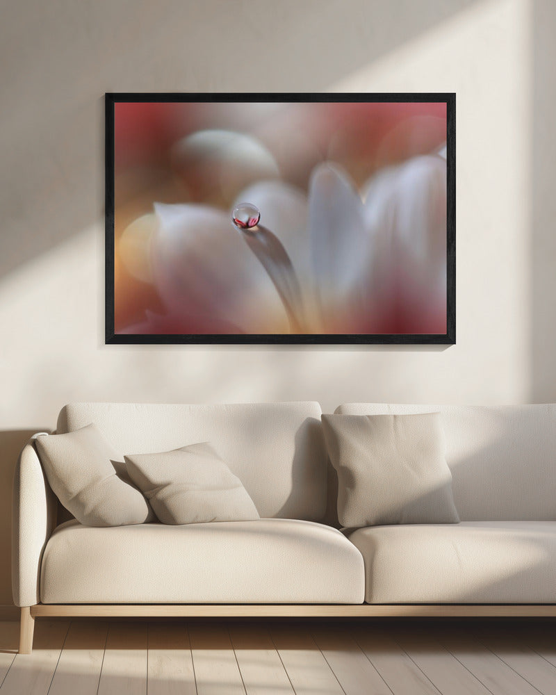 Raadsel.. | Canvas