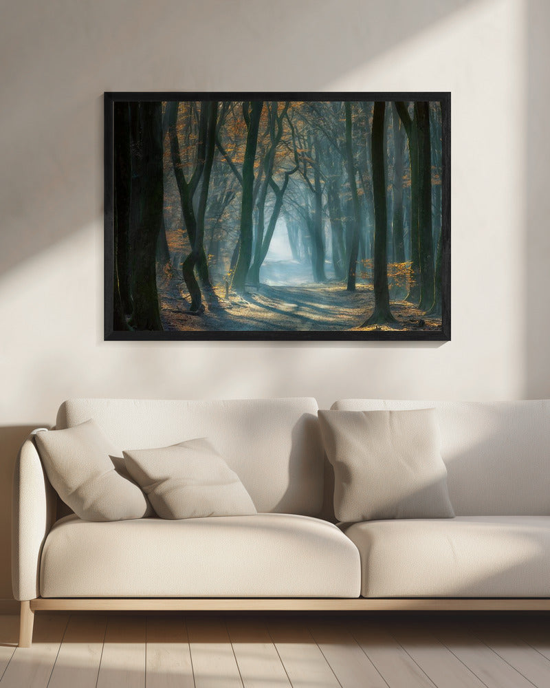 Koud licht | Canvas