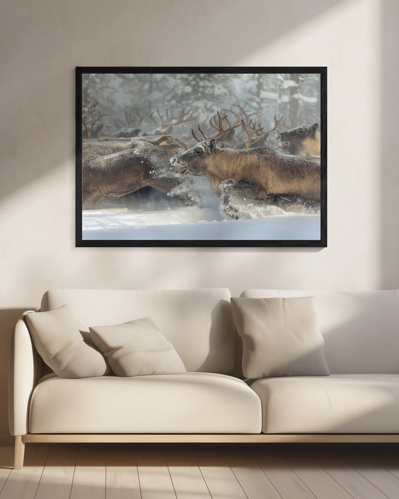 Rendieren III | Canvas