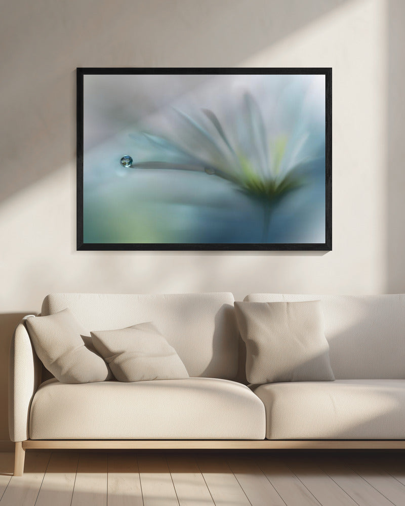 Velden van Hoop.. | Canvas