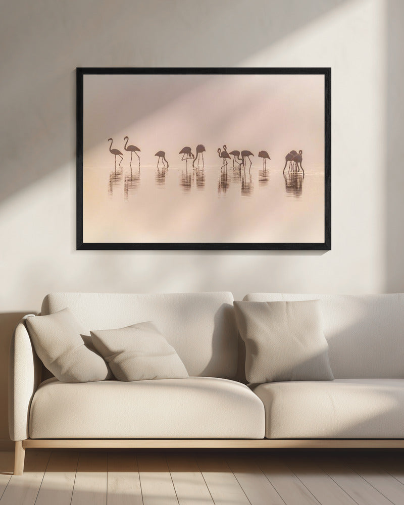 Flamingo's in de mist | Canvas