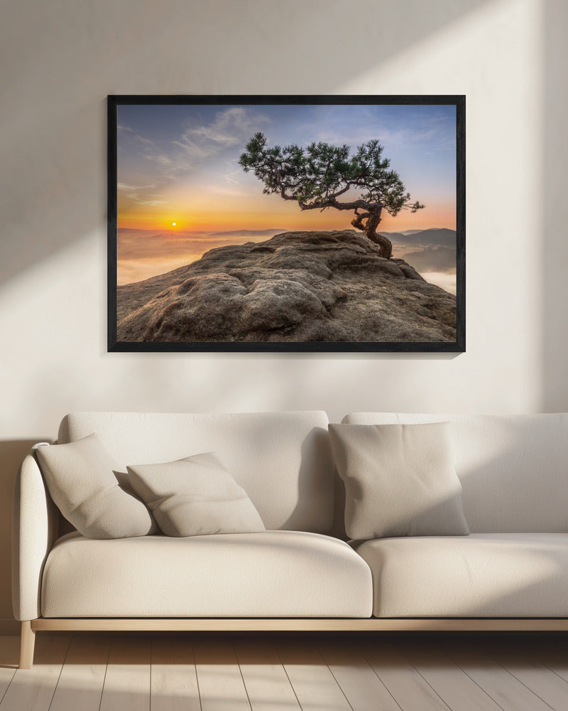 Oud grenen | Canvas