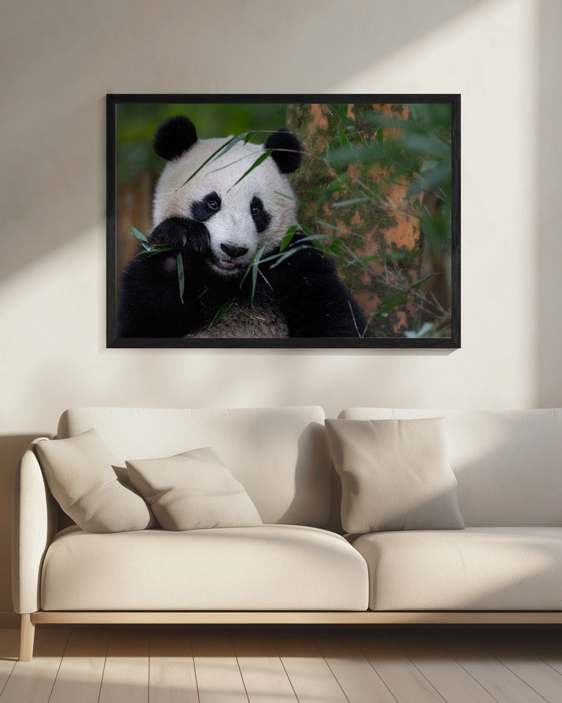 Bamboe Tijd | Canvas