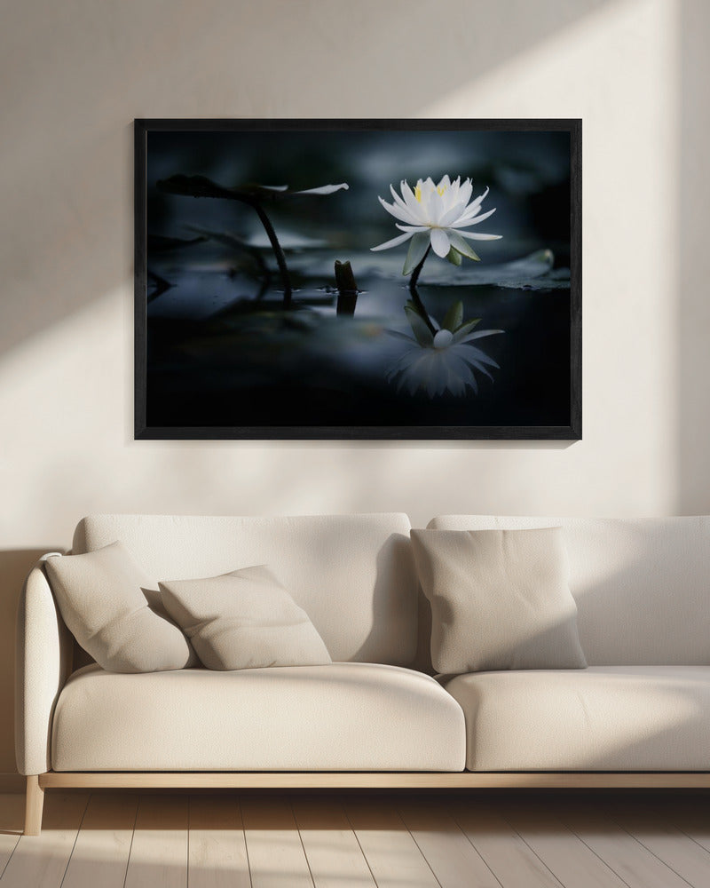 Reflection | Canvas