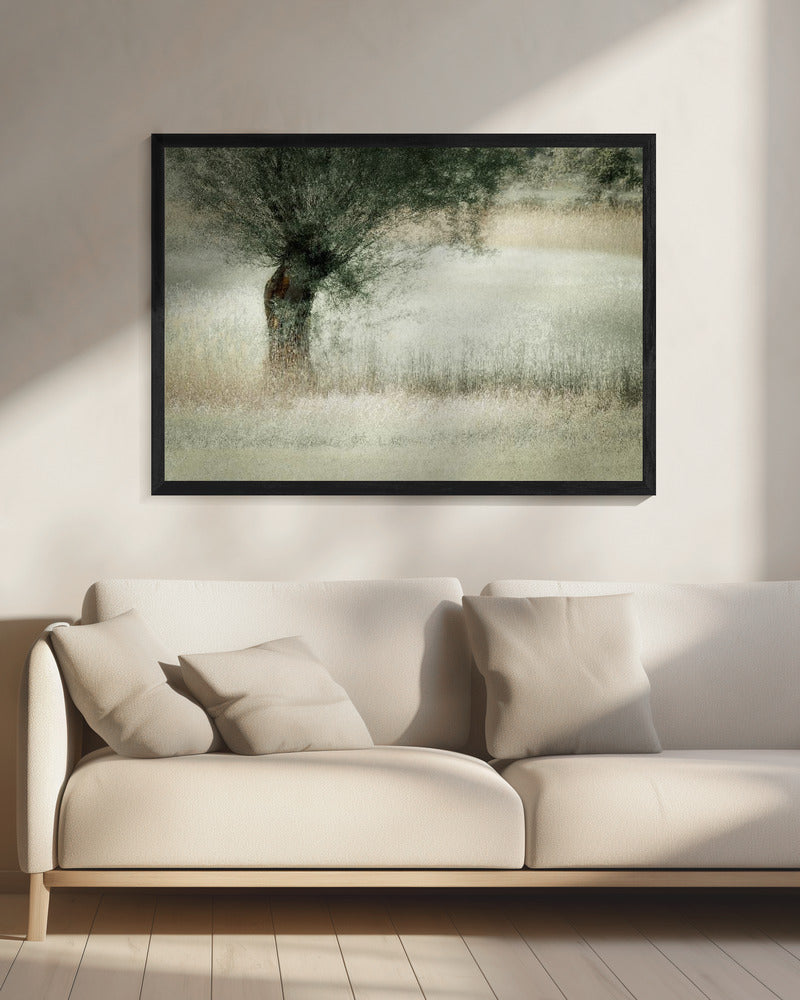 Wilg | Canvas