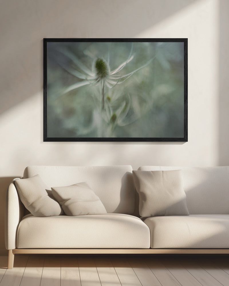 Kaardebol | Canvas
