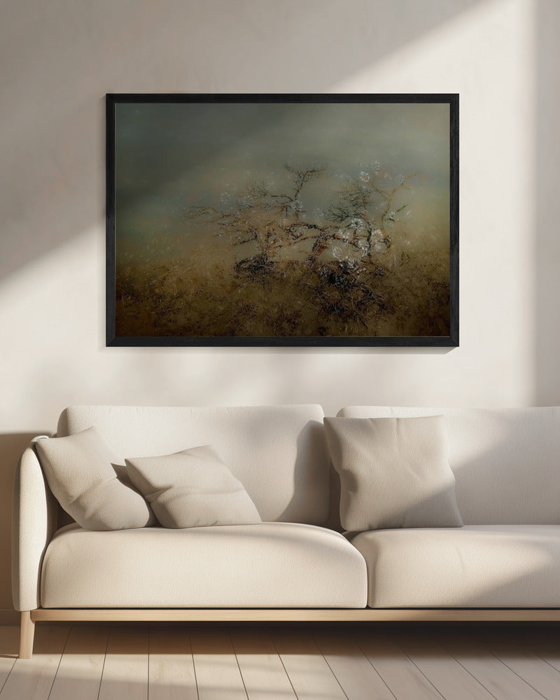 Oude boom | Canvas