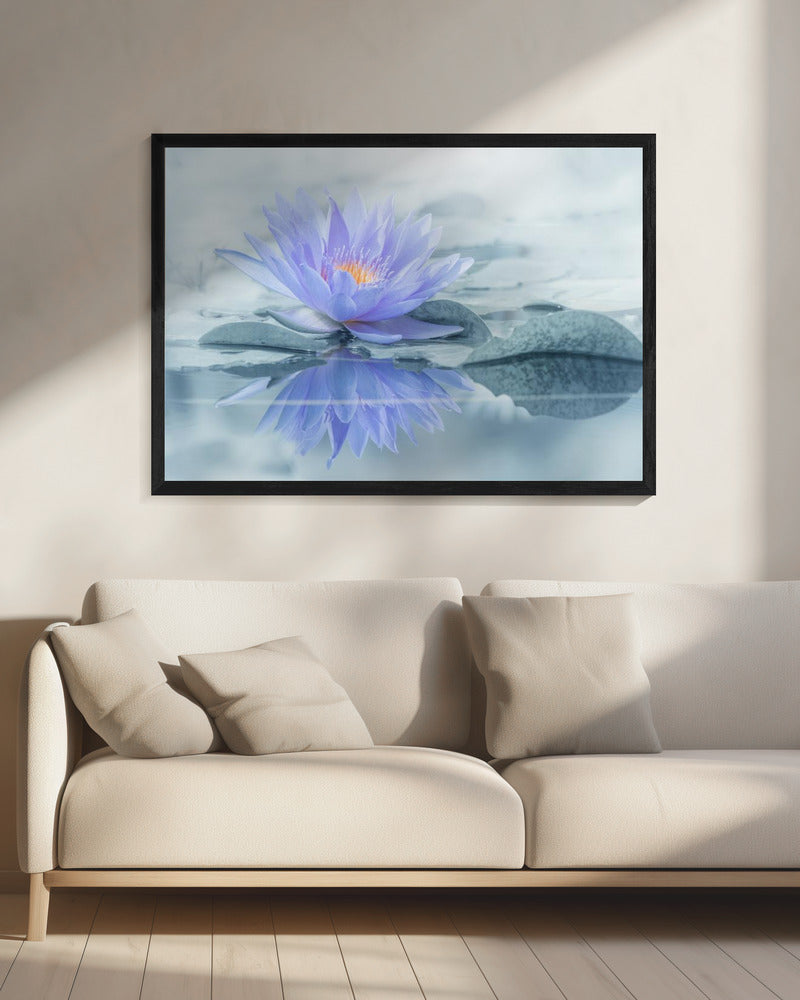 Reflection | Canvas