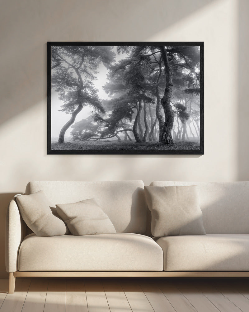 Honderd jaar volhouden | Canvas