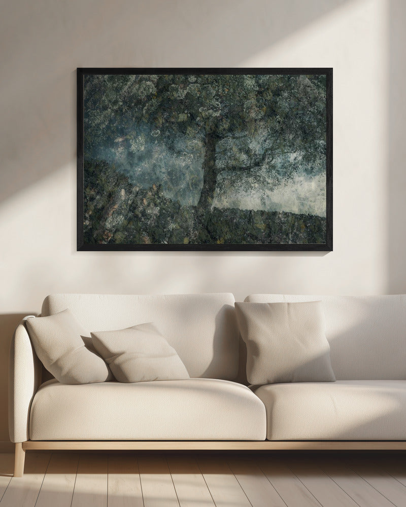Rotsen en een boom | Canvas