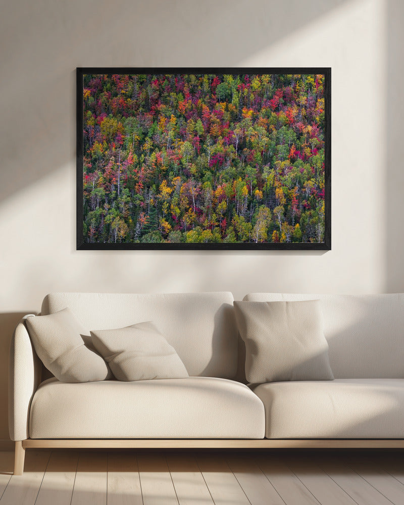 Kleurenpalet | Canvas