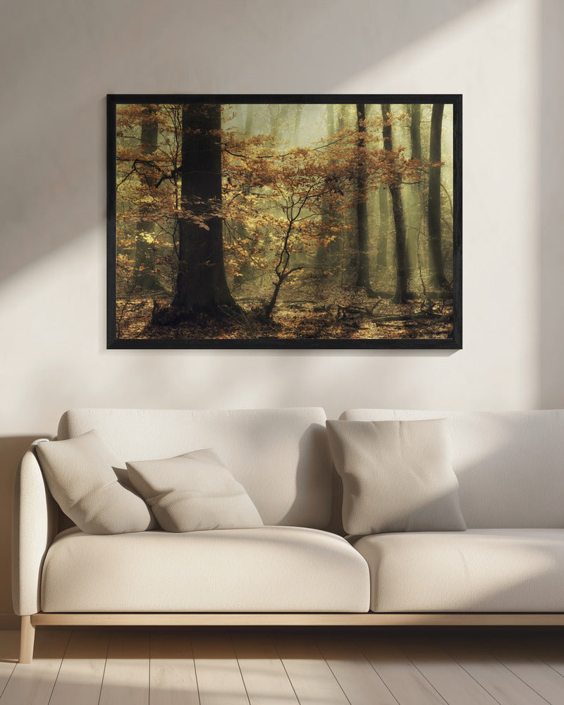 Zachte val | Canvas