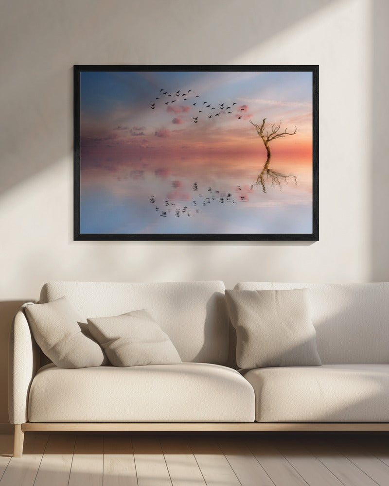 ST 006 | Canvas