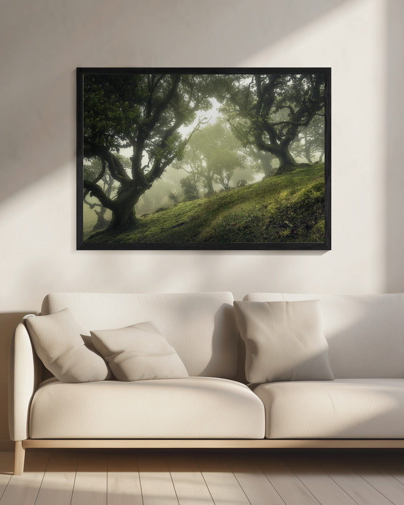 Betoverd Bos | Canvas