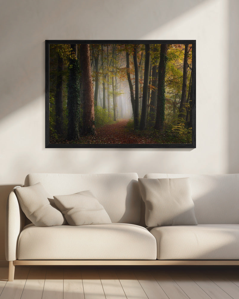 Herfst kleurrijk bos | Canvas
