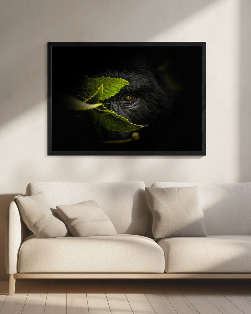 Geheimen bewaren | Canvas