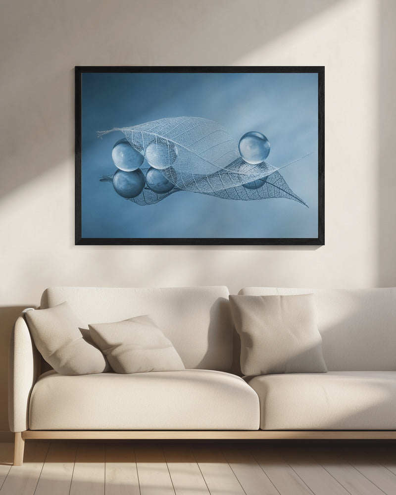Droog blad en bubbels | Canvas