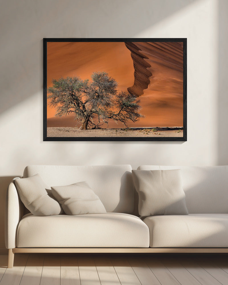 Acacia in de woestijn | Canvas