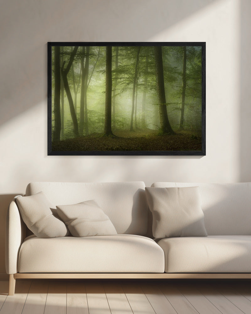 Mysterieuze lentemorgen | Canvas