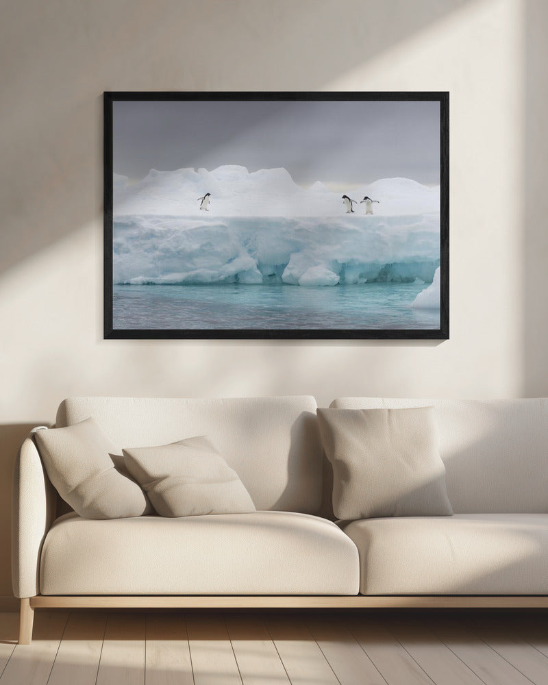 Het Podium | Canvas
