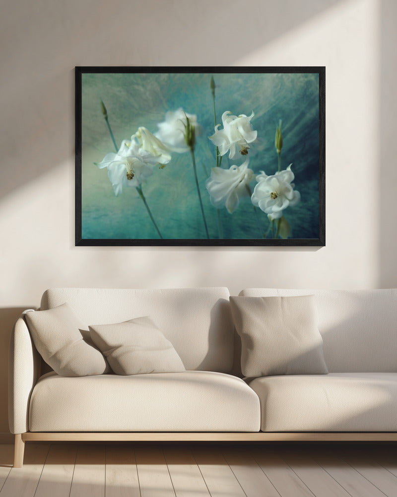 Crowns of Thorns | Canvas