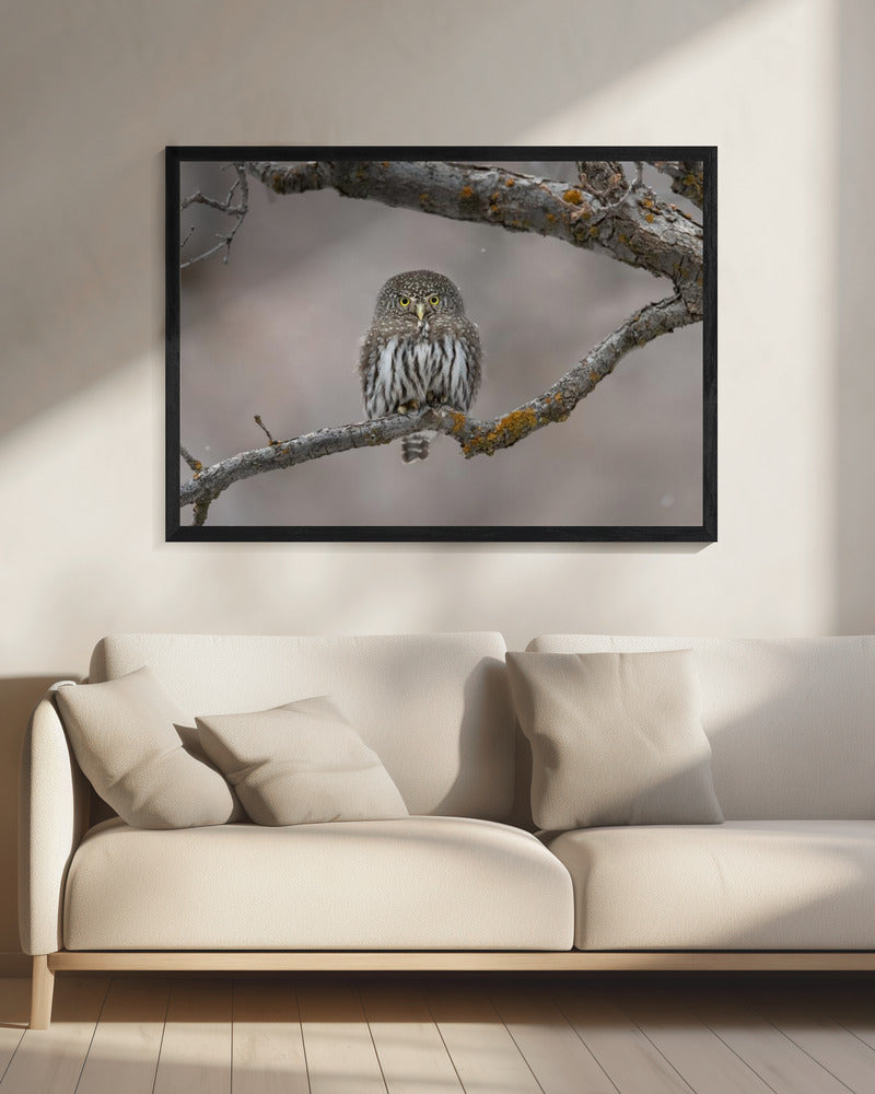 Kleine man in de sneeuw | Canvas