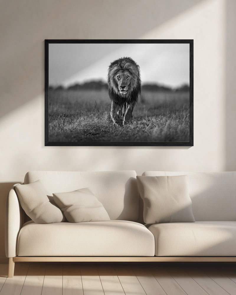 Oude jongen | Canvas